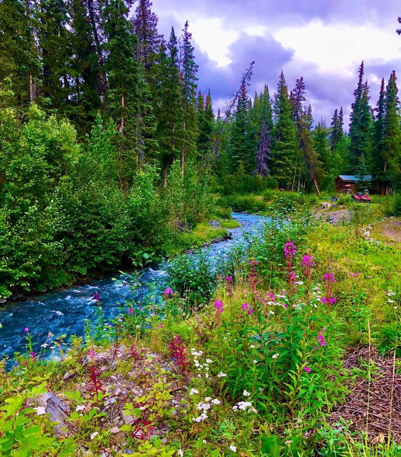 Carlo Creek Cabins Denali Park Eksteriør bilde