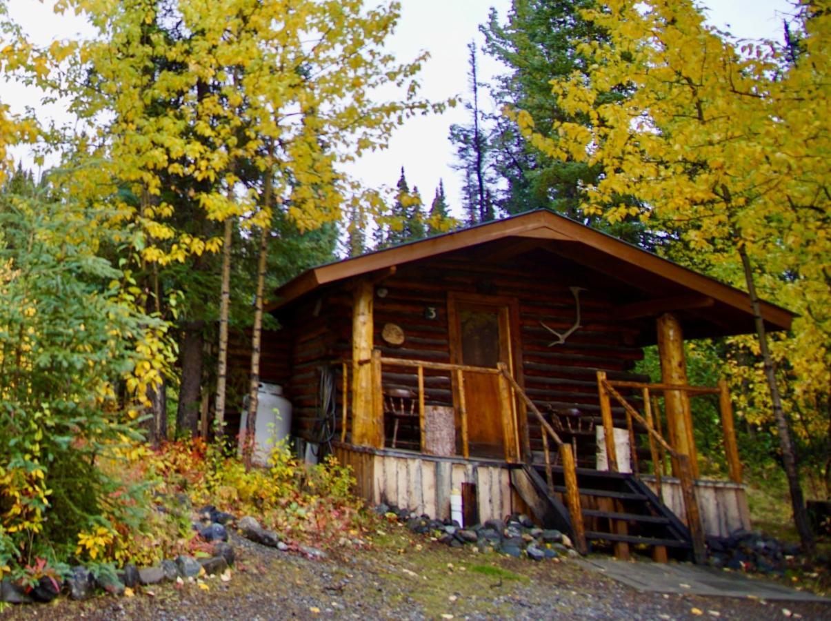 Carlo Creek Cabins Denali Park Eksteriør bilde