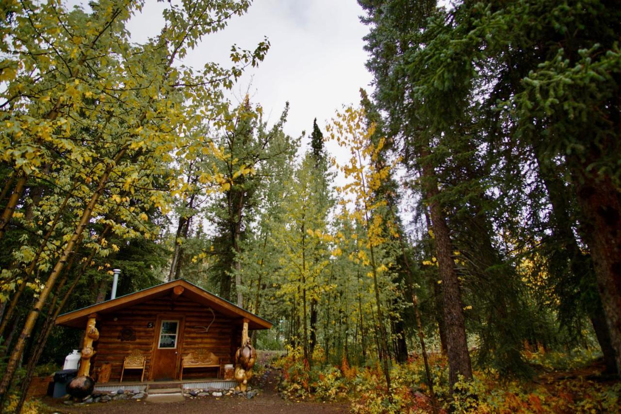 Carlo Creek Cabins Denali Park Eksteriør bilde