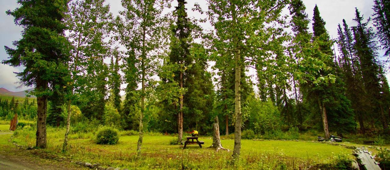 Carlo Creek Cabins Denali Park Eksteriør bilde