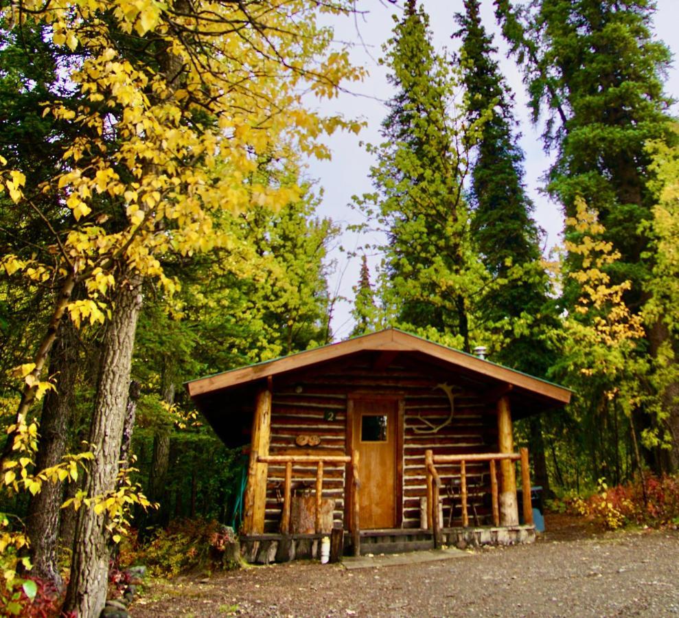 Carlo Creek Cabins Denali Park Eksteriør bilde