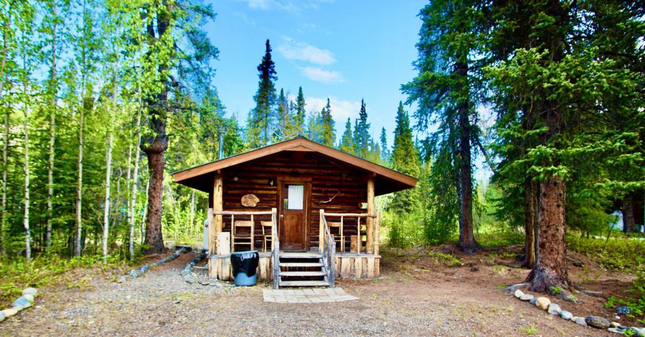 Carlo Creek Cabins Denali Park Eksteriør bilde