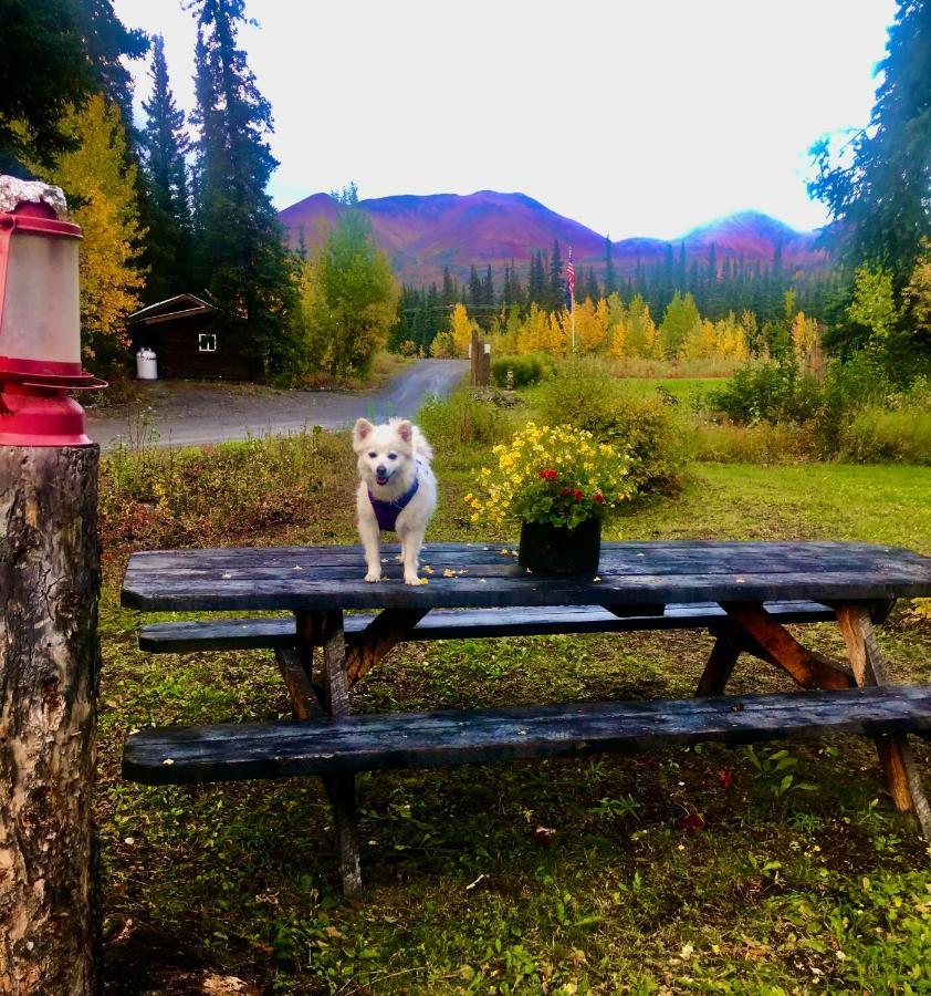 Carlo Creek Cabins Denali Park Eksteriør bilde