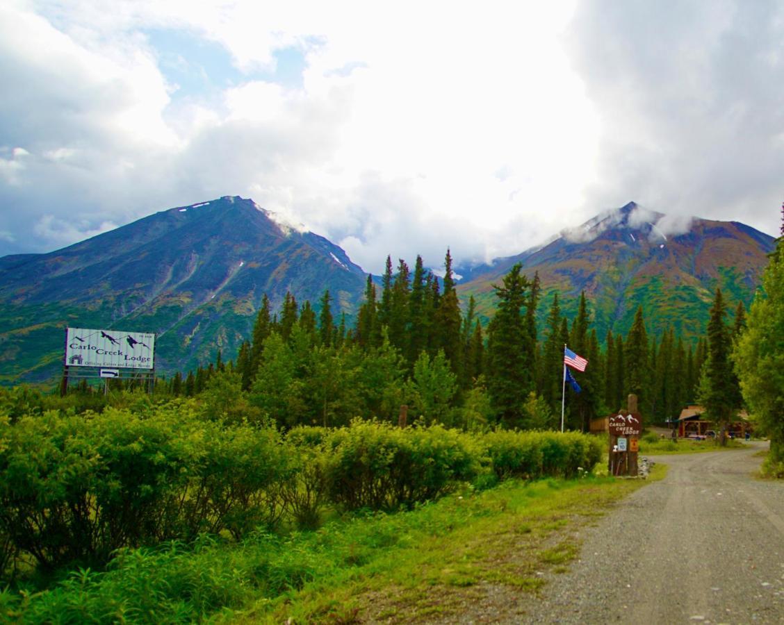 Carlo Creek Cabins Denali Park Eksteriør bilde