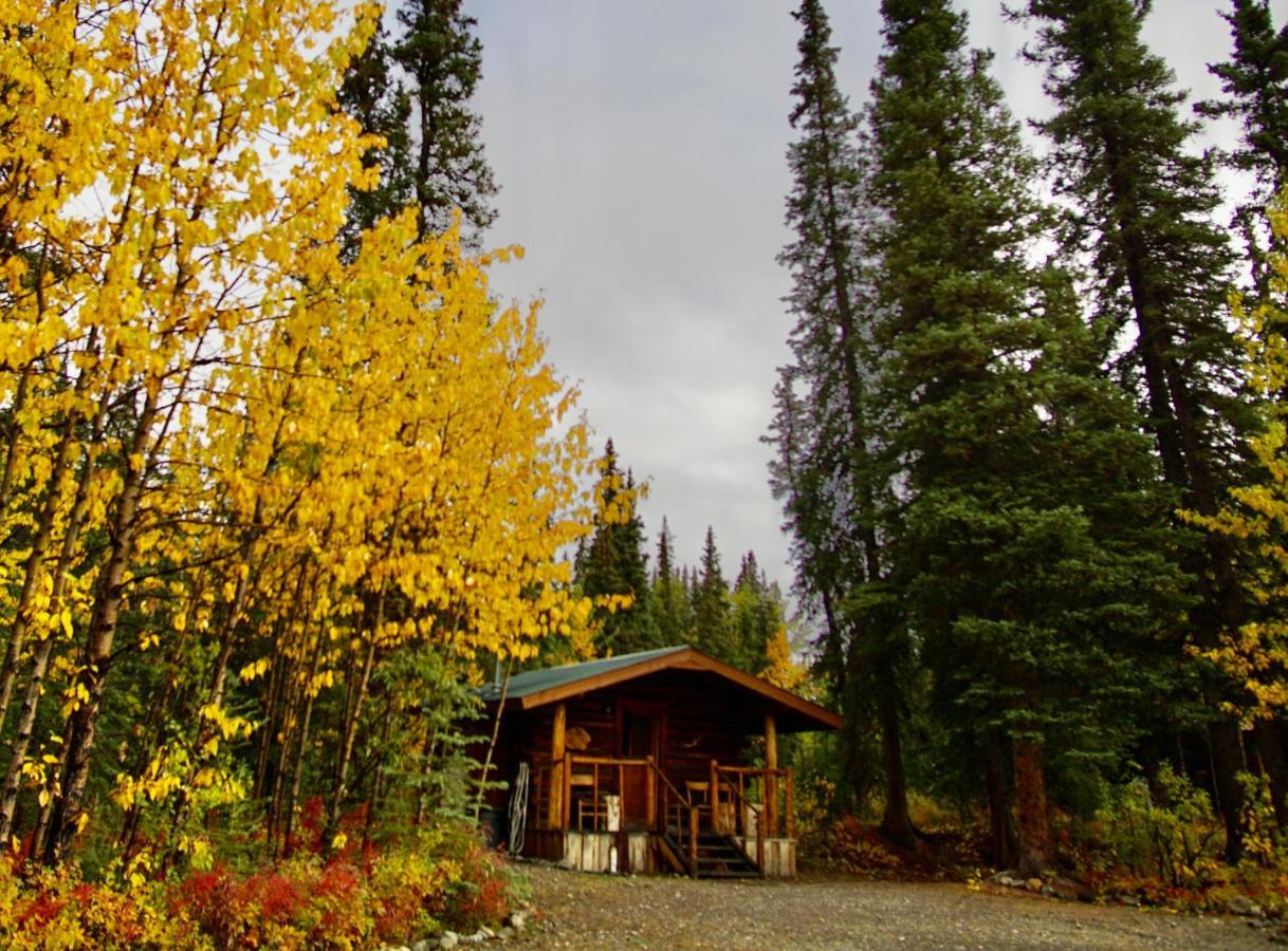 Carlo Creek Cabins Denali Park Eksteriør bilde