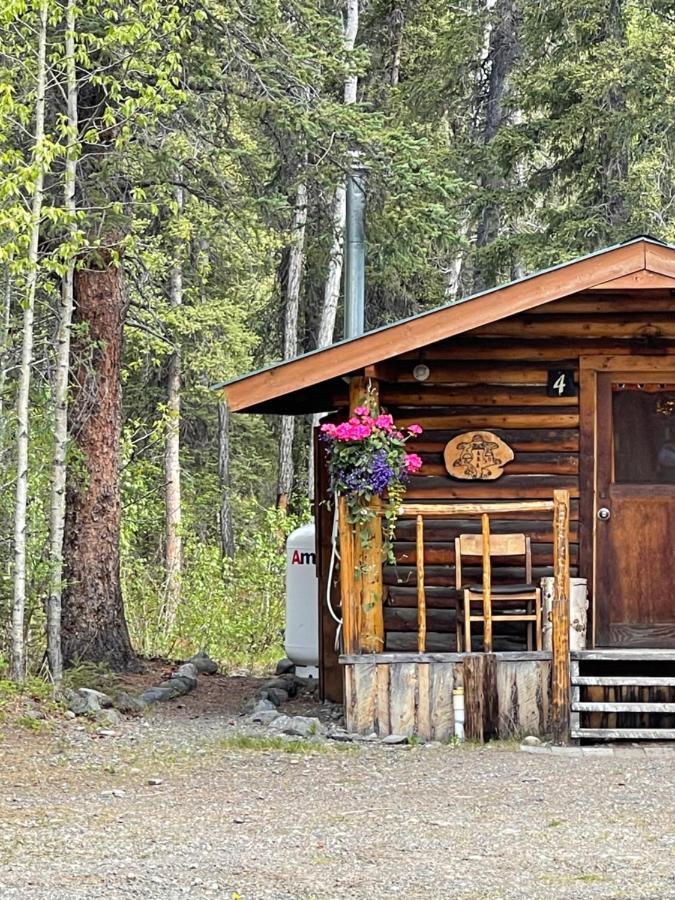 Carlo Creek Cabins Denali Park Eksteriør bilde