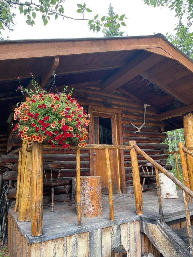 Carlo Creek Cabins Denali Park Eksteriør bilde