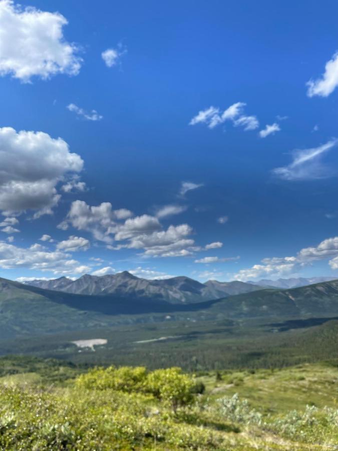 Carlo Creek Cabins Denali Park Eksteriør bilde