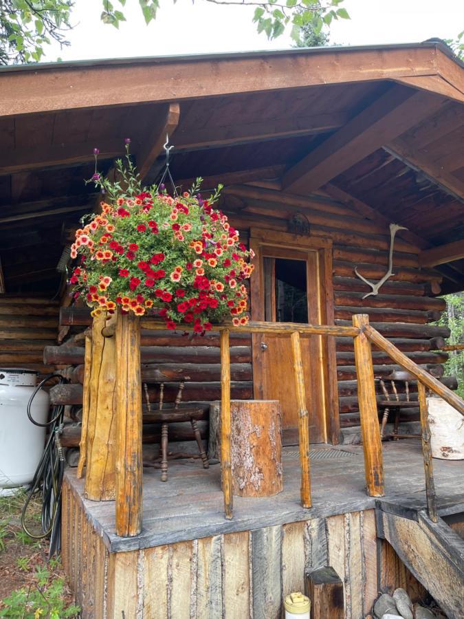 Carlo Creek Cabins Denali Park Eksteriør bilde