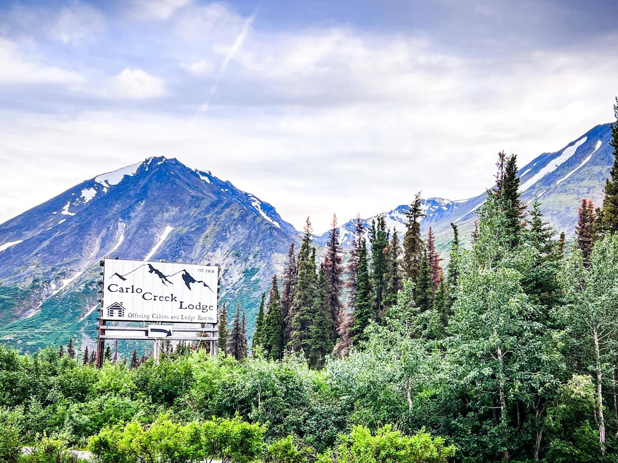 Carlo Creek Cabins Denali Park Eksteriør bilde