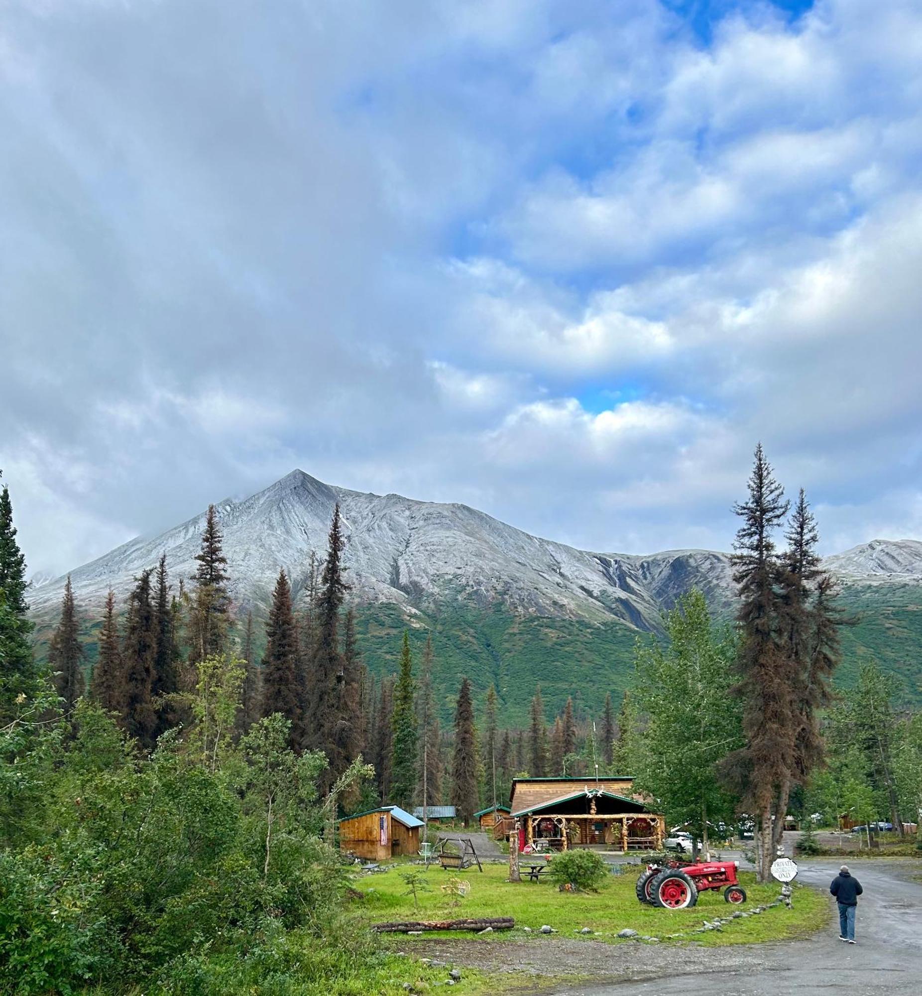 Carlo Creek Cabins Denali Park Eksteriør bilde