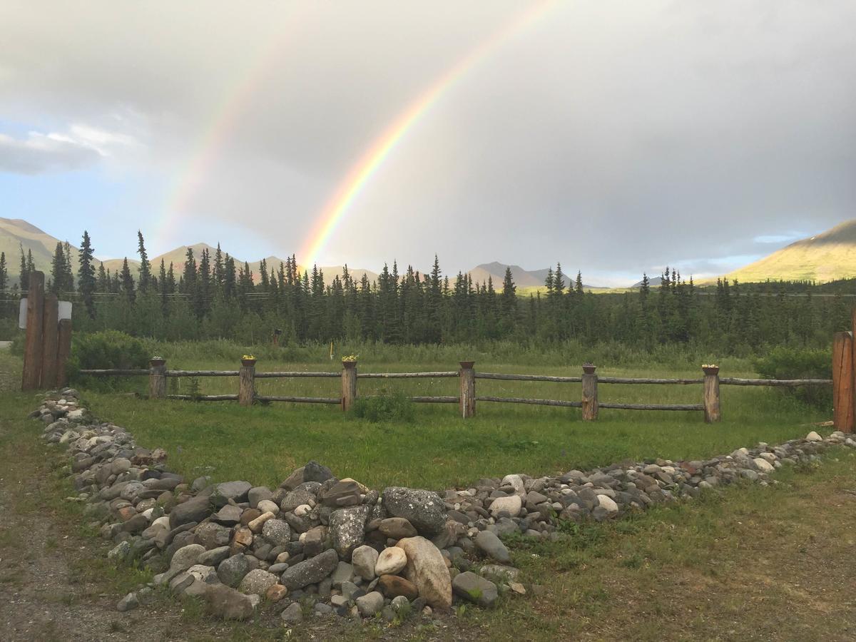 Carlo Creek Cabins Denali Park Eksteriør bilde