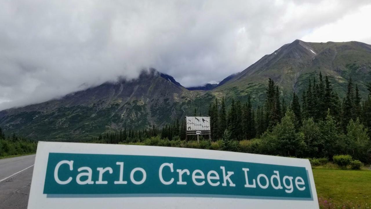 Carlo Creek Cabins Denali Park Eksteriør bilde