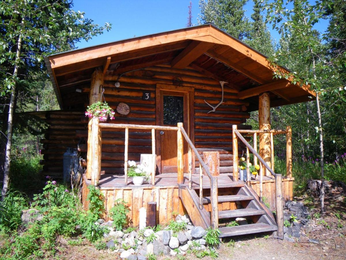 Carlo Creek Cabins Denali Park Eksteriør bilde